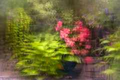 Summer Rain