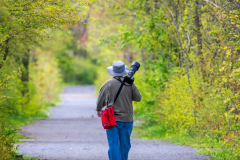 Bird Photographer