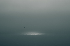Peconic Bay Dawn
