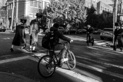 Confluence Of Culture