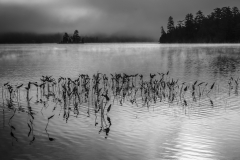 Hazy Morning At The Lake
