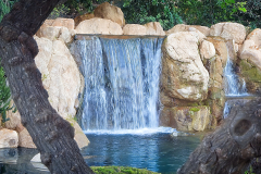 Japanese Garden