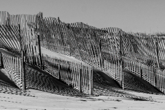 Dune Shadows