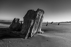 Petrified