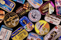 My Cats Secret Stash