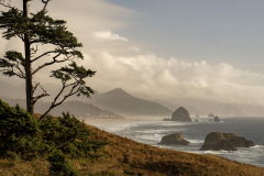 Sea Stacks