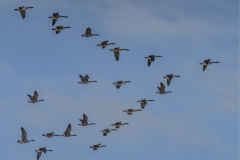 Stacked Up And Flying Home