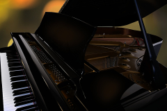 Artists Piano