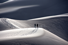 On The Dunes