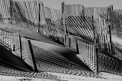 Dune Fence In Shadow