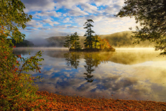 Autumn Mist Ivy Island