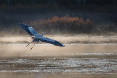 Foggy Takeoff