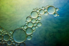 Bubblesaurus An Oil And Water Abstract