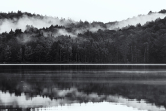 Fog On Brown Tract Pond