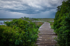 Dock Near Lucy Vincent Beach On Marthas Vineyard
