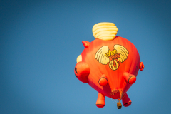 Apparently They Can Fly