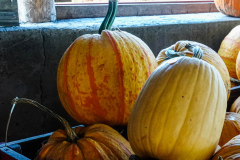 Pumpkins