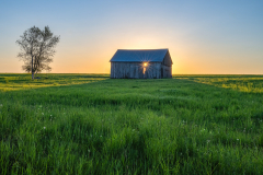 Morning Star Norman Ridge