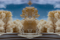 Faux Fork In Infrared