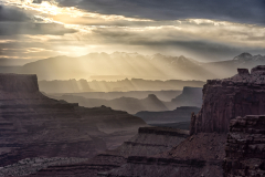 Filtered Sunlight