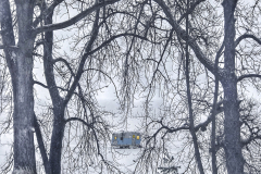 Vintage Blue Trailer And Trees