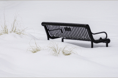 Winter Bench Central Park