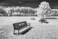 Buddy Bench
