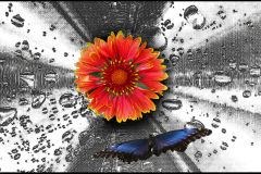 Coming in for a Landing