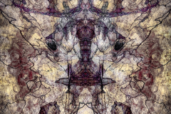 A Man and Two Jaguars in a Tree Stump