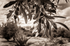 Memories Of Greece