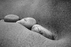 Stone Peas In A Pod