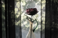 The Bedroom Window