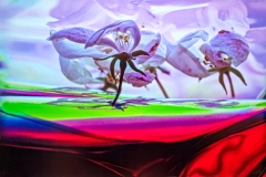 Tiny Dancers