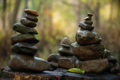 Moss Grows Fat On A Rolling Stone