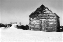 Stump And Shed