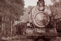 No. 14