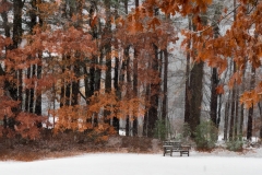 Autumn Snow