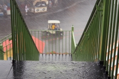 Raining Cats and Dogs