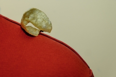She Has a Chip On Her Shoulder