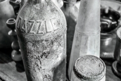 Dazzle Not