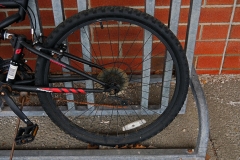 Bicycle Tire