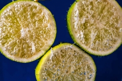 Lemon Drops
