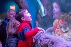 That's a Fish Tank