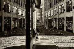 Maiden Lane, Albany