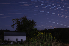 Evening Stars