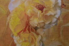 Yellow Rose