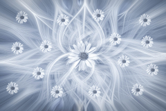 Flower Fantasy