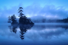 Ivy Island in Blue