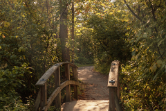 The Bridge Less Traveled
