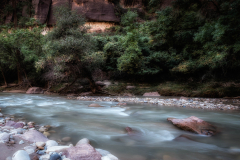 The Virgin River